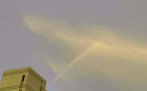 �ҵ��ഺ�з���ʺ�����