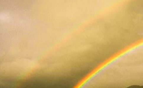 �����ʺ�롷�и�