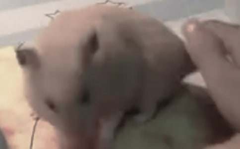 �Ҽҵ�С����_�ɰ���С��������400��