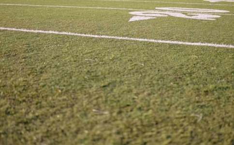 操场上作文汇总【11篇】