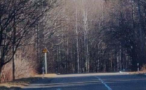 ����ɽ�ĵ��δ�