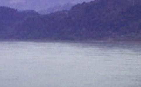 �������ߺš��ۺ�У�ͨ��22ƪ��