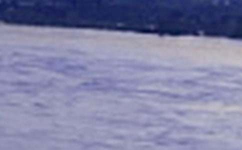 ���������ĳ�����(15ƪ)