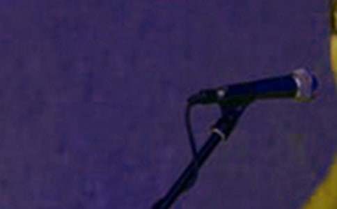 小班爱唱歌的小麻雀教案