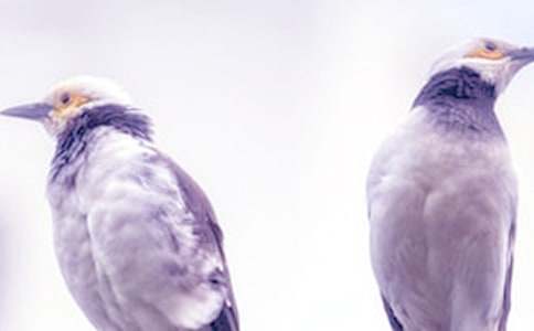 ��ͬѧ���ܼ�����