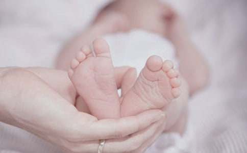 ����֤�������飨ͨ��20ƪ��