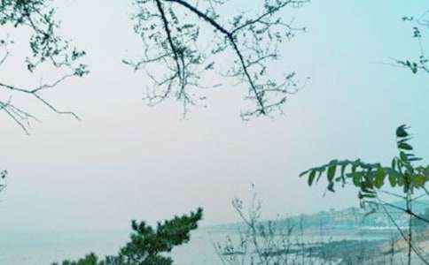 �ҵ��ഺ�������