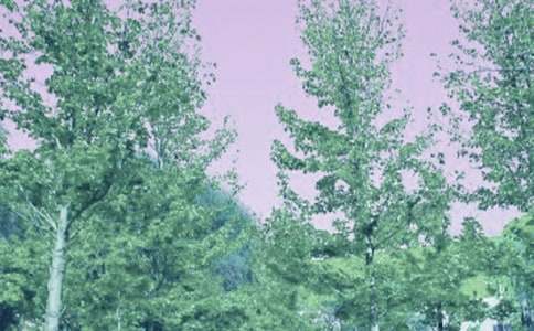 ���繤���ܽ�