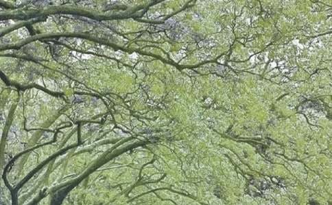 �������ഺ�羰����9ƪ