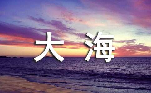 《我看见了大海》教案