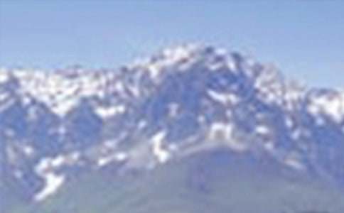 张桂梅大山里的女校观后感