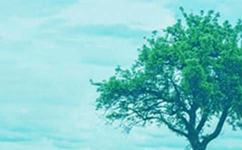 С�ݺʹ��������[��Ʒ]