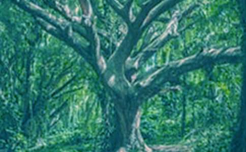 һ�Ŵ�������