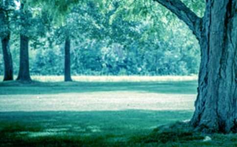 �����š�������������