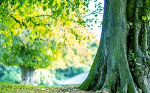 ��С�ܻ��������̰���ͨ��14ƪ��