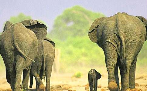 ������������У���ѡ13ƪ��