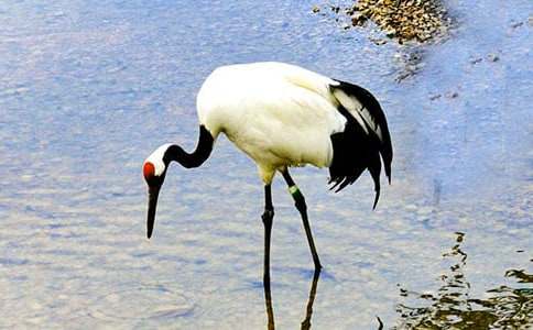 ���ġ������ĵ����ס��Ľ̰�