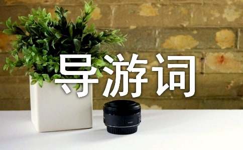 ��̶ɽ���δ�