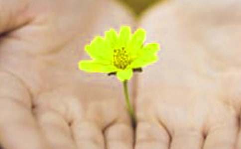 违约道歉信范文合集六篇