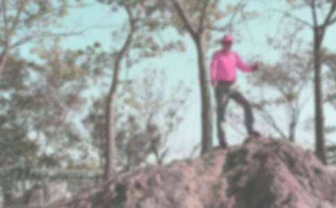 春天登山活动策划书