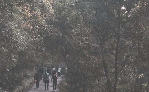 [ʵ��]��ɽ�����