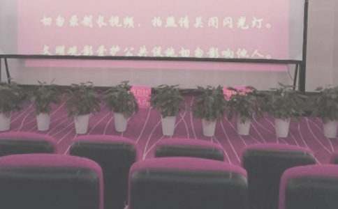 ��ӰԺ��������ܽ�