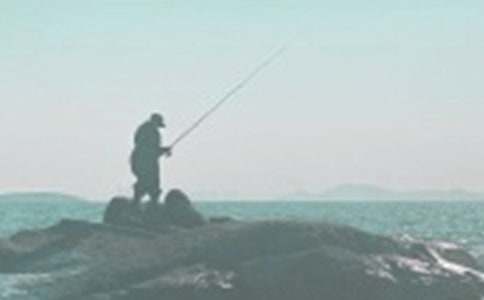 小猫钓鱼大班教案