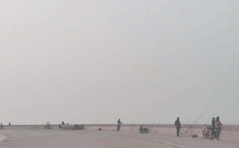 ������������15ƪ������