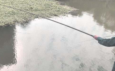 Сè����Сѧ����12ƪ