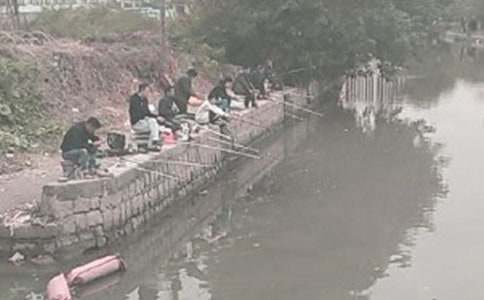 ���꼶���������ʾ���̰�