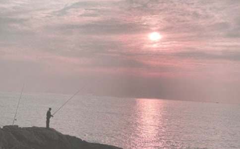 Сè����Сѧ����(����15ƪ)