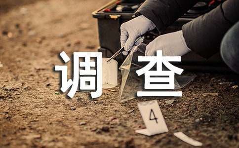 ��Сѧ�����������鱨�棨ͨ��6ƪ��