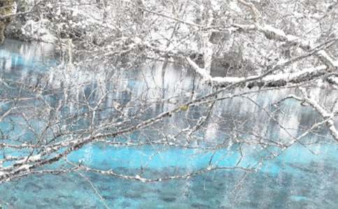 ���ڶ��������ĵ���᷶��