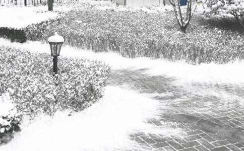 �������ȹ����ܽ�8ƪ