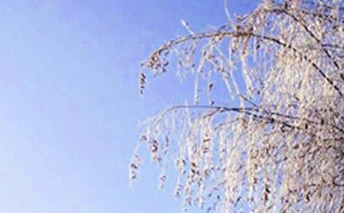 冬天的风景作文()