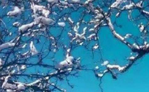 ������������ʺ���