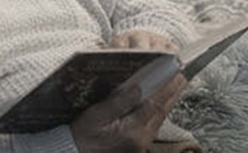 ������Ĳ߻�����