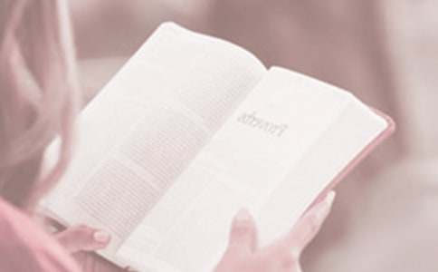 4.23����������ݽ���