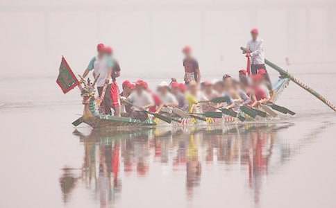《端午的鸭蛋》教案
