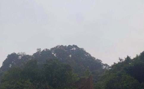 ��üɽ��̵��δ�