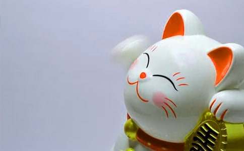 �������Ļ��������