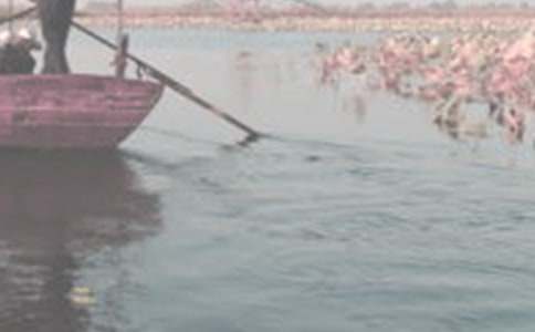 �ֺ����۽̰�