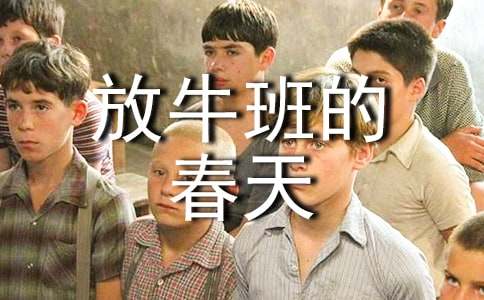 ��ţ��Ĵ���ۺ��300��