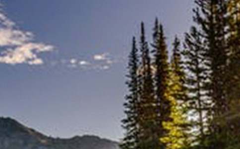 �����ķ羰����ͨ��(15ƪ)