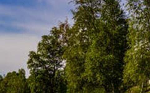 �羰��������600�ְ�ƪ