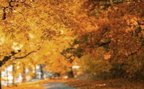 ��д���Ȫ��԰�羰������