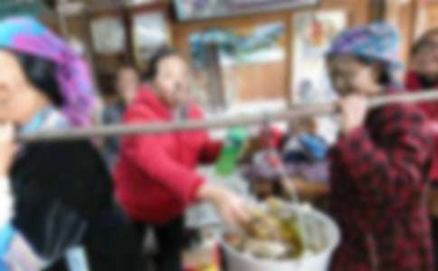 ����������ģ���ѡ21ƪ��