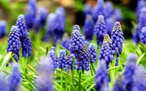 �����ӻ������