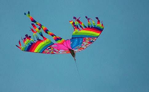 �ŷ���Сѧ���ľ�ѡ15ƪ