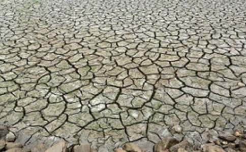 ���λ�Į���͸ɺ��չ����½�����